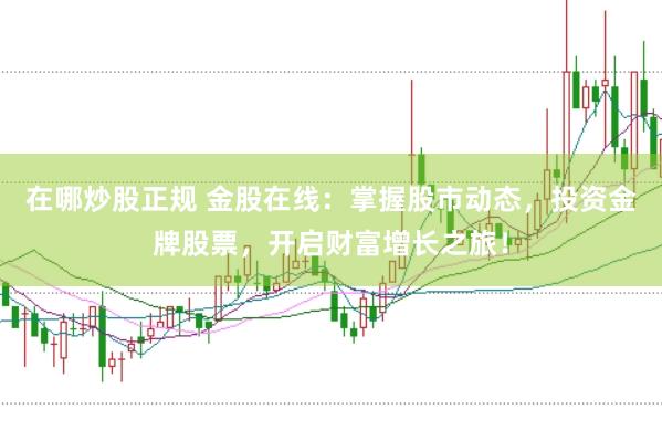 在哪炒股正规 金股在线：掌握股市动态，投资金牌股票，开启财富增长之旅！