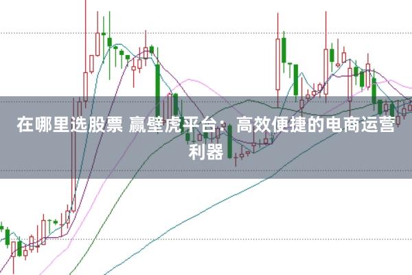 在哪里选股票 赢壁虎平台：高效便捷的电商运营利器