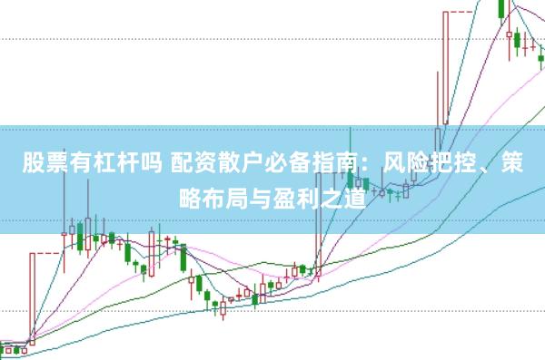 股票有杠杆吗 配资散户必备指南：风险把控、策略布局与盈利之道