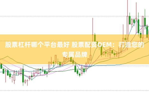 股票杠杆哪个平台最好 股票配资OEM：打造您的专属品牌