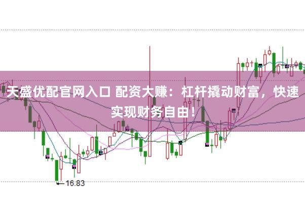 天盛优配官网入口 配资大赚：杠杆撬动财富，快速实现财务自由！