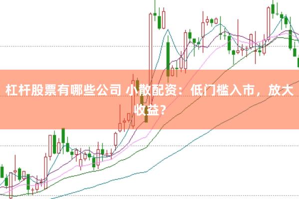 杠杆股票有哪些公司 小散配资：低门槛入市，放大收益？