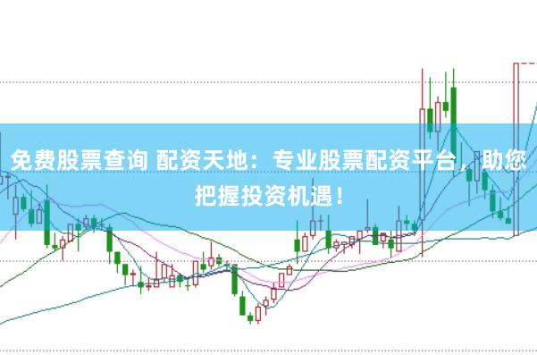 免费股票查询 配资天地：专业股票配资平台，助您把握投资机遇！