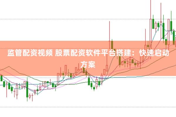 监管配资视频 股票配资软件平台搭建：快速启动方案