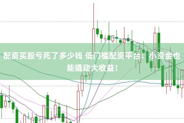 配资买股亏死了多少钱 低门槛配资平台：小资金也能撬动大收益！