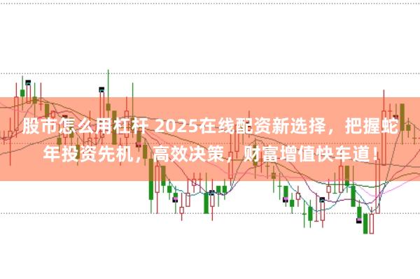 股市怎么用杠杆 2025在线配资新选择，把握蛇年投资先机，高效决策，财富增值快车道！