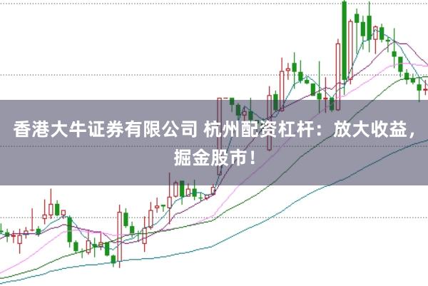 香港大牛证券有限公司 杭州配资杠杆:放大收益,掘金股市!