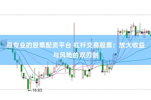 最专业的股票配资平台 杠杆交易股票:放大收益与风险的双刃剑