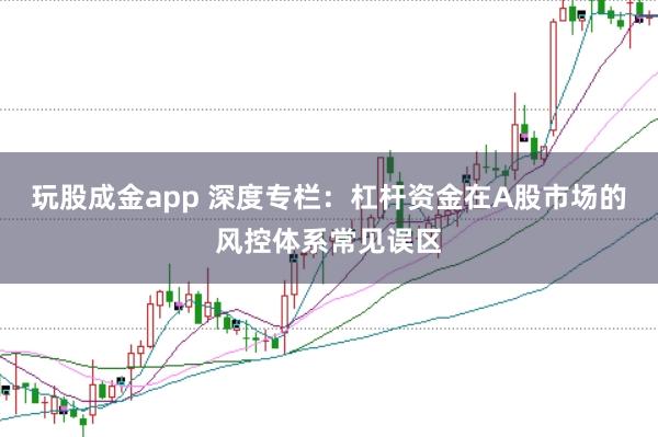 玩股成金app 深度专栏:杠杆资金在A股市场的风控体系常见误区