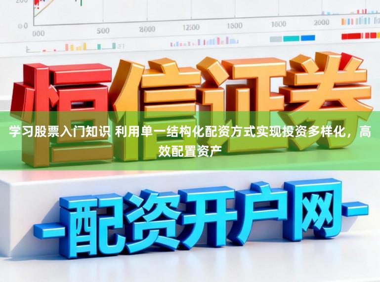 学习股票入门知识 利用单一结构化配资方式实现投资多样化，高效配置资产